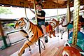 KCZoo carousel