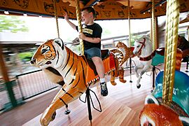 KCZoo carousel