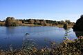 Lackford Lakes Nature Reserve - geograph.org.uk - 589203
