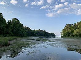 Lake Guntersville, Alabama.jpg