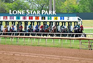 Lone Star Park horse race.jpg