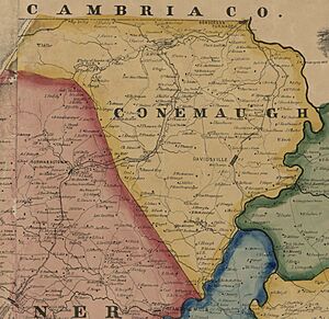 Map of Conemaugh Township, Somerset County, Pennsylvania, from 1860 Somerset County Map by Edward L Walker