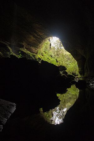 Metro Cave Te Ananui Cave entrance with reflection in water