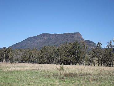 Mount Widgee.jpg