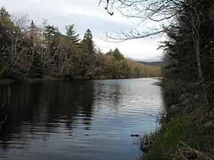MusquodoboitRiver 2010