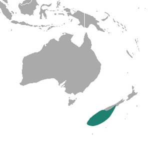 New Zealand Sea Lion area.png