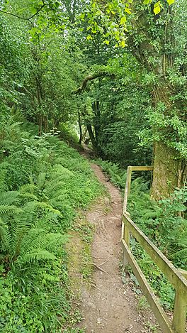 Offaly way walk near the Silver River, Cadamstown Co. Offaly. 1.jpg