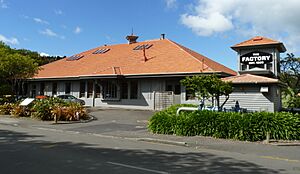 Old Dairy Factory, Palmerston North, New Zealand (4)