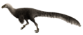 Ornitholestes reconstruction