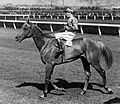 PETER PAN lll VRC MELBOURNE CUP 1932 & 1934