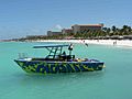 Palm Beach, Aruba (4901990402)