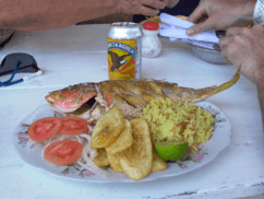 Image of Red Snapper Fish