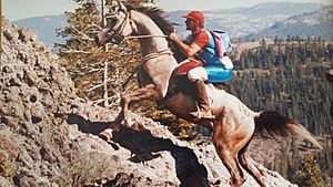 Pascal Marion-Bourgeat at the 1991 Tevis Cup