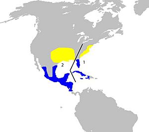 Map showing breeding and winter range of P. ciris