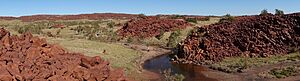 Pilbara Billabong