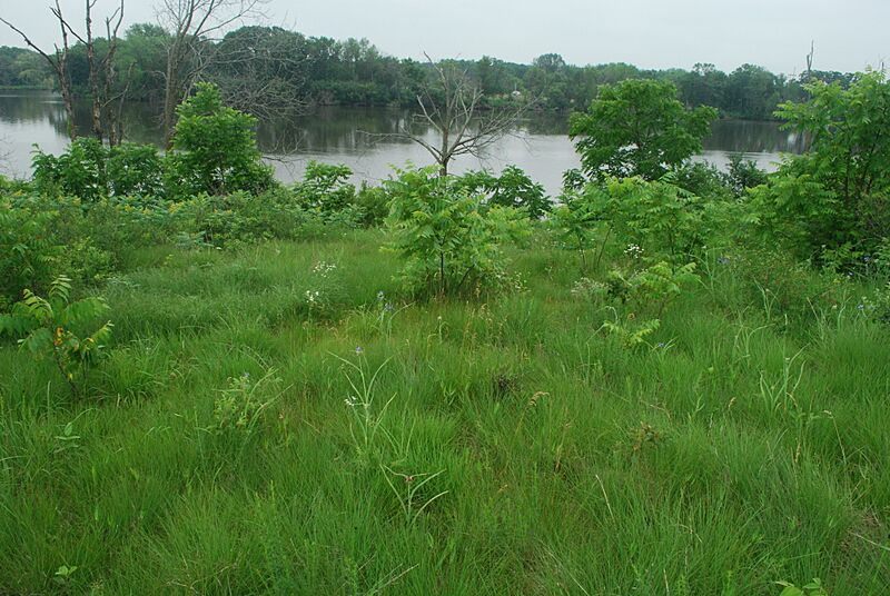 Prairie Wisconsin