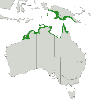 Red-headed Myzomela distribution map.svg