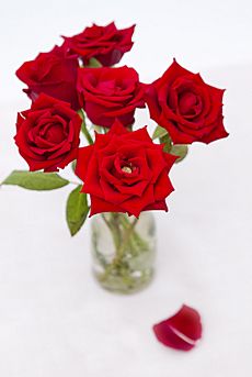 Red Roses (6862116332)