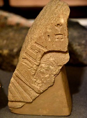 Relief fragment showing a royal head, probably Akhenaten, and early Aten cartouches. Aten extends Ankh (sign of life) to the figure. Reign of Akhenaten. From Amarna, Egypt. The Petrie Museum of Egyptian Archaeology, London