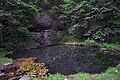 Richmond Springs