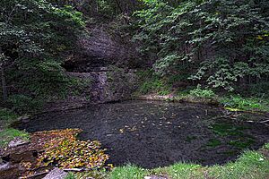 Richmond Springs