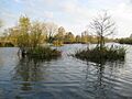 Rickmansworth, Stocker's Lake - geograph.org.uk - 1030096