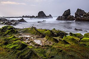 Sawarna Banten Green View