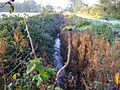 Scarrow Beck at Sustead 23rd October 2007 (2)