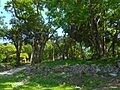 Sewell Park - Miami 03