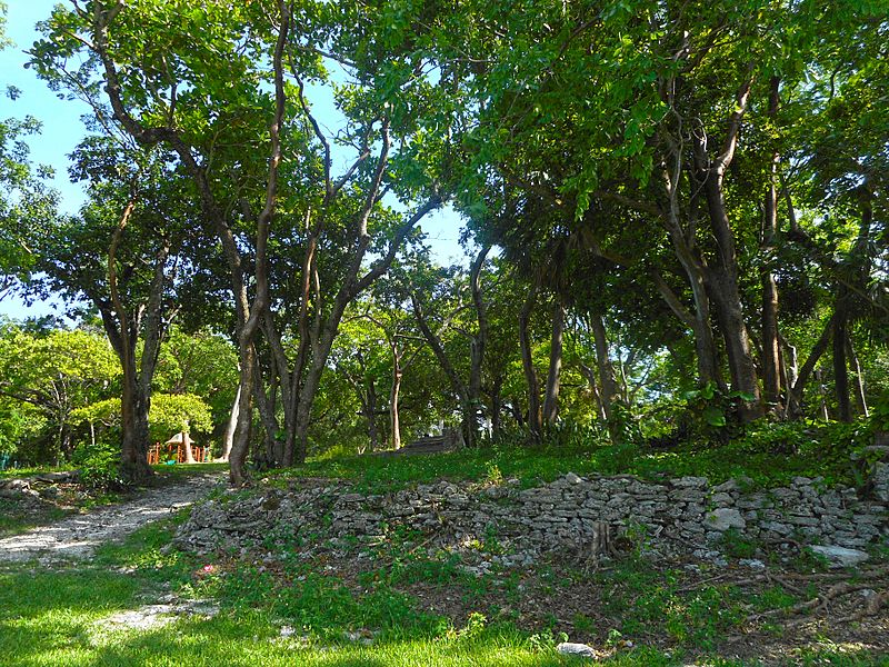 Sewell Park - Miami 03