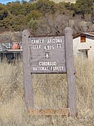 Sign Canelo Arizona 2015