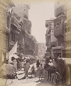 Street scene of Lahore, 1890s 2