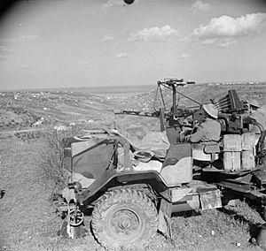 The British Army in Italy 1944 NA11178
