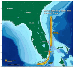 The Florida straits, the L-shaped channel between southeastern Florida and the Bahamas, and the Florida Keys and Cuba