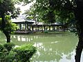 The lake inside Chinese Garden