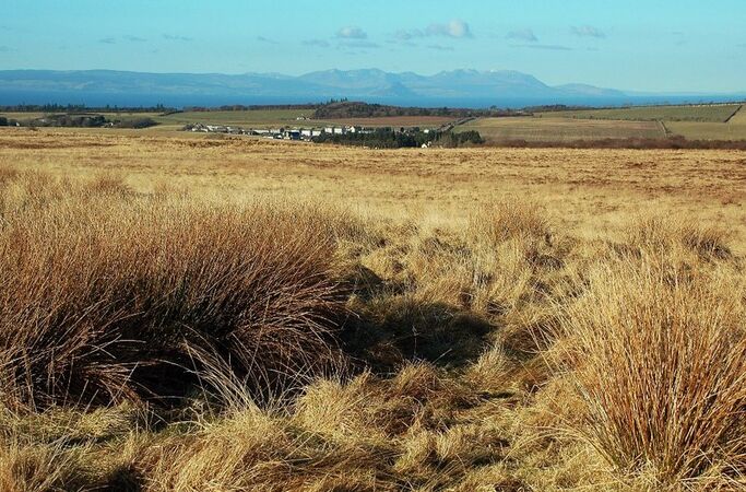 Towards Kirkoswald - geograph.org.uk - 1705972