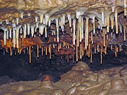 Travertine soda straw stalactites & bulbous stalagmites in dolostone network cave (Crystal Cave, near Spring Valley, Wisconsin, USA) 1 (18755816740).jpg
