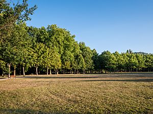 Vitoria - Campas de Olárizu 01
