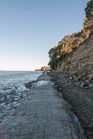 Walkway near a cliff, Murrays Bay, Auckland 20100522 1