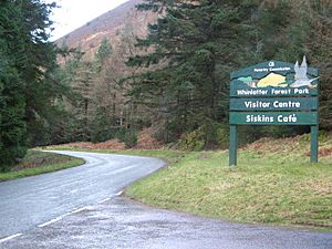 Whinlatter Forest Park Sign