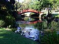 Wollongongbotanicgardens