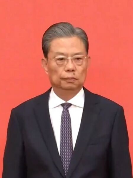 赵乐际 Zhao Leji 20221023