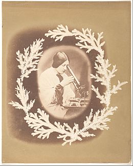 -Thereza Dillwyn Llewelyn with Her Microscope- MET DP217032