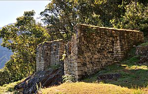 102 - Machu Picchu - Juin 2009