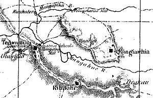 1864 map of Waikato