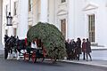 2013 Blue Room Tree