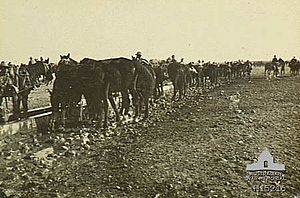 AWM H15216 12th Light Horse at Beersheba 1917