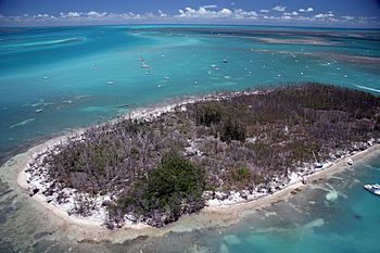 Aerial photographs of Florida MM00032973 (5990911676).jpg