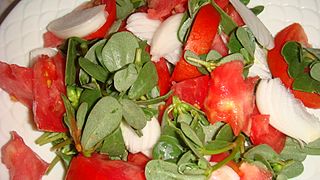Andrakla salata