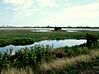 Assateague Wetlands.jpg